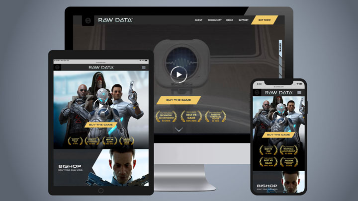 Raw Data Responsive Views
